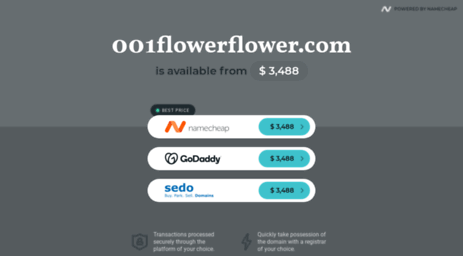 001flowerflower.com