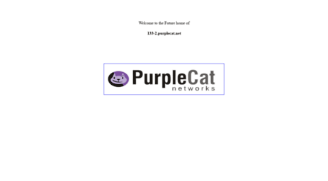133-2.purplecat.net