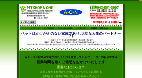 a-one-net.com