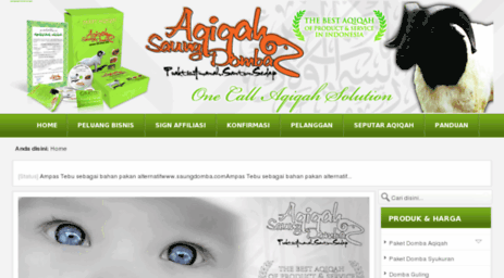 aqiqah.saungdomba.com
