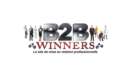 b2bwinner.com
