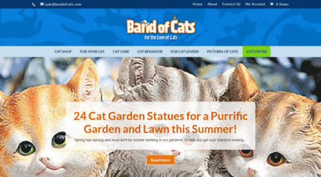 bandofcats.com