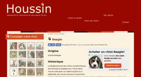 beagle.houssin.com