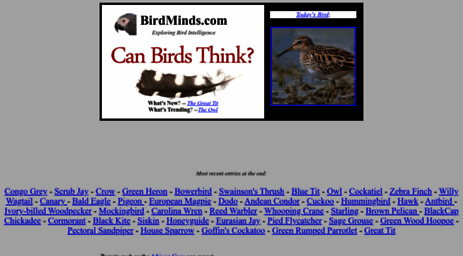 birdminds.com