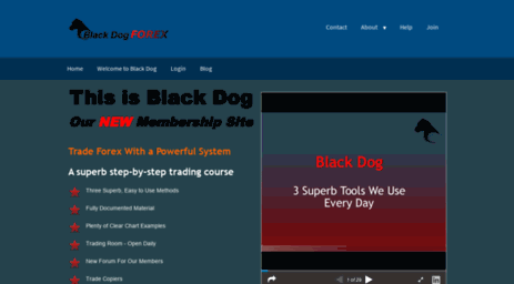 blackdogforex.com