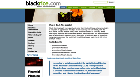blackrice.com