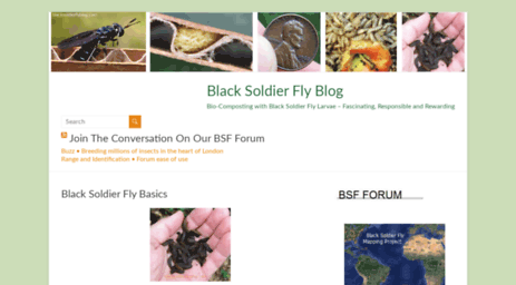 blacksoldierflyblog.com