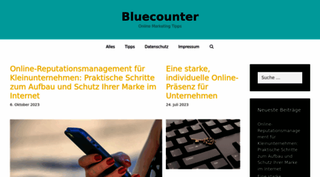 bluecounter.de