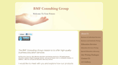 bmfconsultinggroup.com