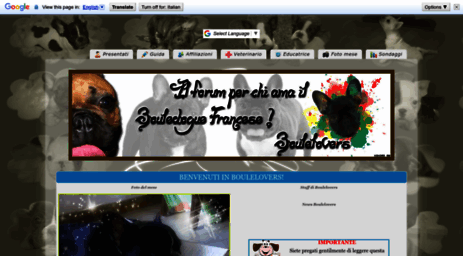 bouledogue.forumfree.net