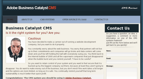 businesscatalystcms.net