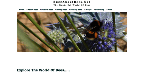 buzz-about-bees.com