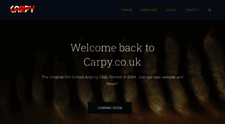 carpy.co.uk