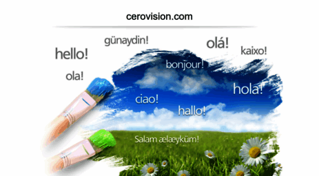 cerovision.com