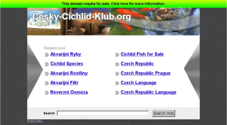 cesky-cichlid-klub.org