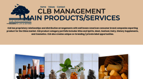 clb-management.com