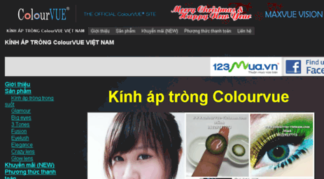 colourvue-vietnam.com