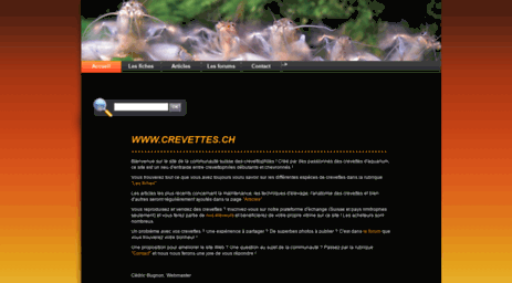 crevettes.ch