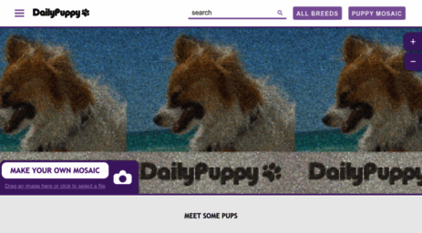 dailypuppy.com