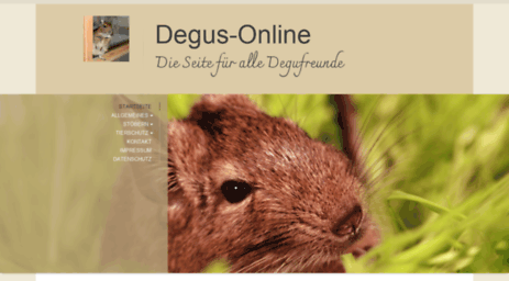 degus-online.de