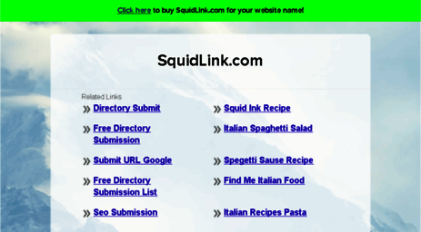directory.squidlink.com