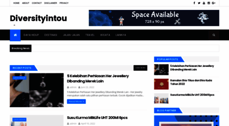 diversityintourism.com
