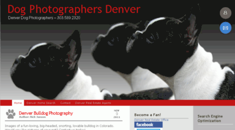 dogphotographersdenver.com