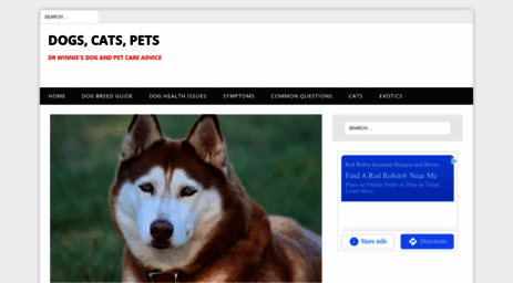 dogscatspets.org