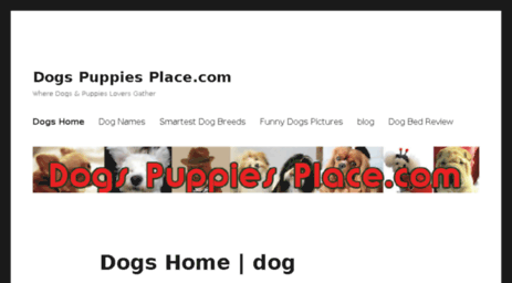 dogspuppiesplace.com