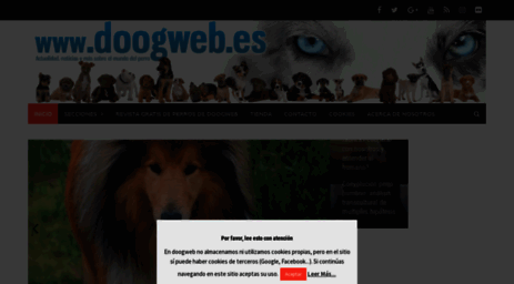 doogweb.es