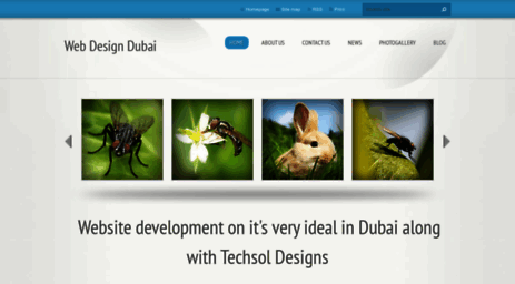 dubaiwebdesign7.webnode.com