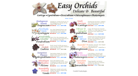 easyorchids.co.uk