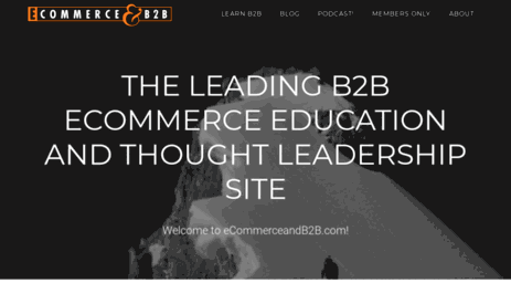 ecommerceandb2b.com