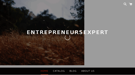 entrepreneurs.expert
