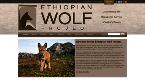 ethiopianwolfproject.com