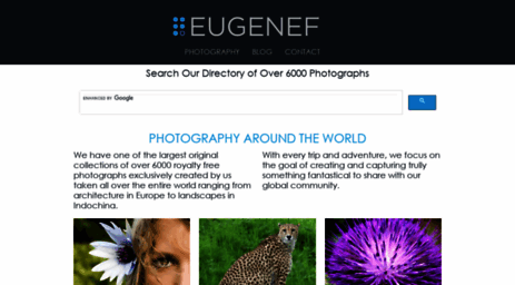 eugenef.com