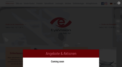 eyevision-frankfurt.de