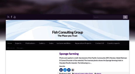 fishconsult.org