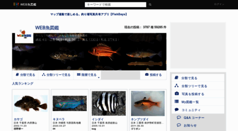 fishing-forum.org