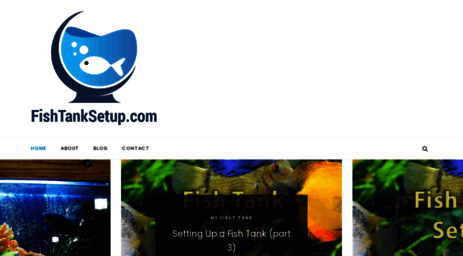 fishtanksetup.com
