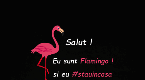 flamingo.ro