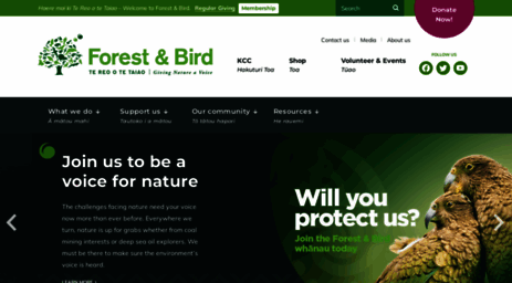 forestandbird.org.nz