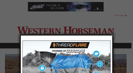 forums.horsecity.com