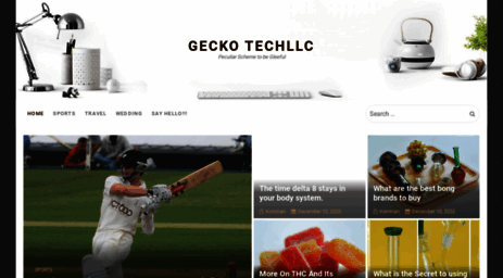 geckotechllc.com