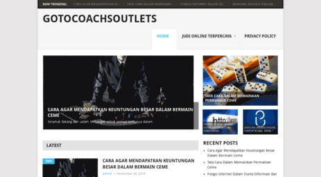 gotocoachsoutlets.org