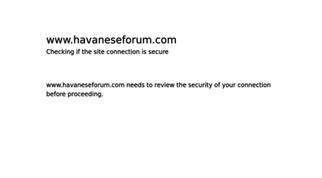 havaneseforum.com