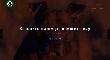 helpdog.ru