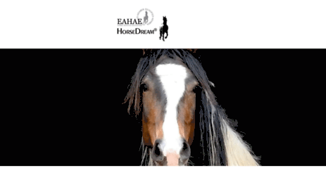 horsedream-exclusive.com