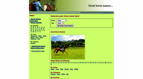 horseridersupply.com