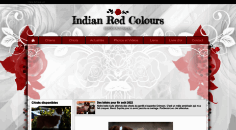 indian-red-colours.chiens-de-france.com